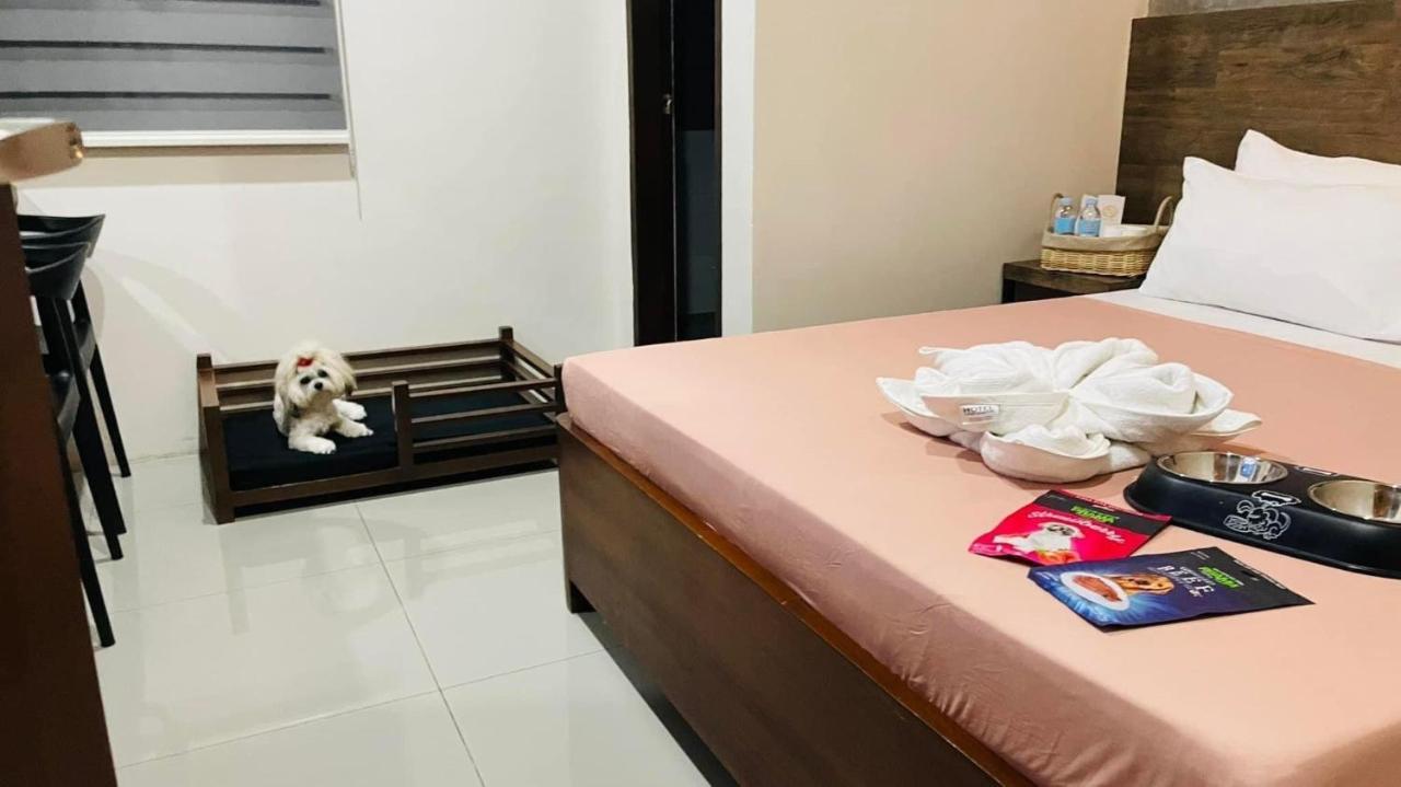 A&E Apartelle Bacolod Exteriér fotografie
